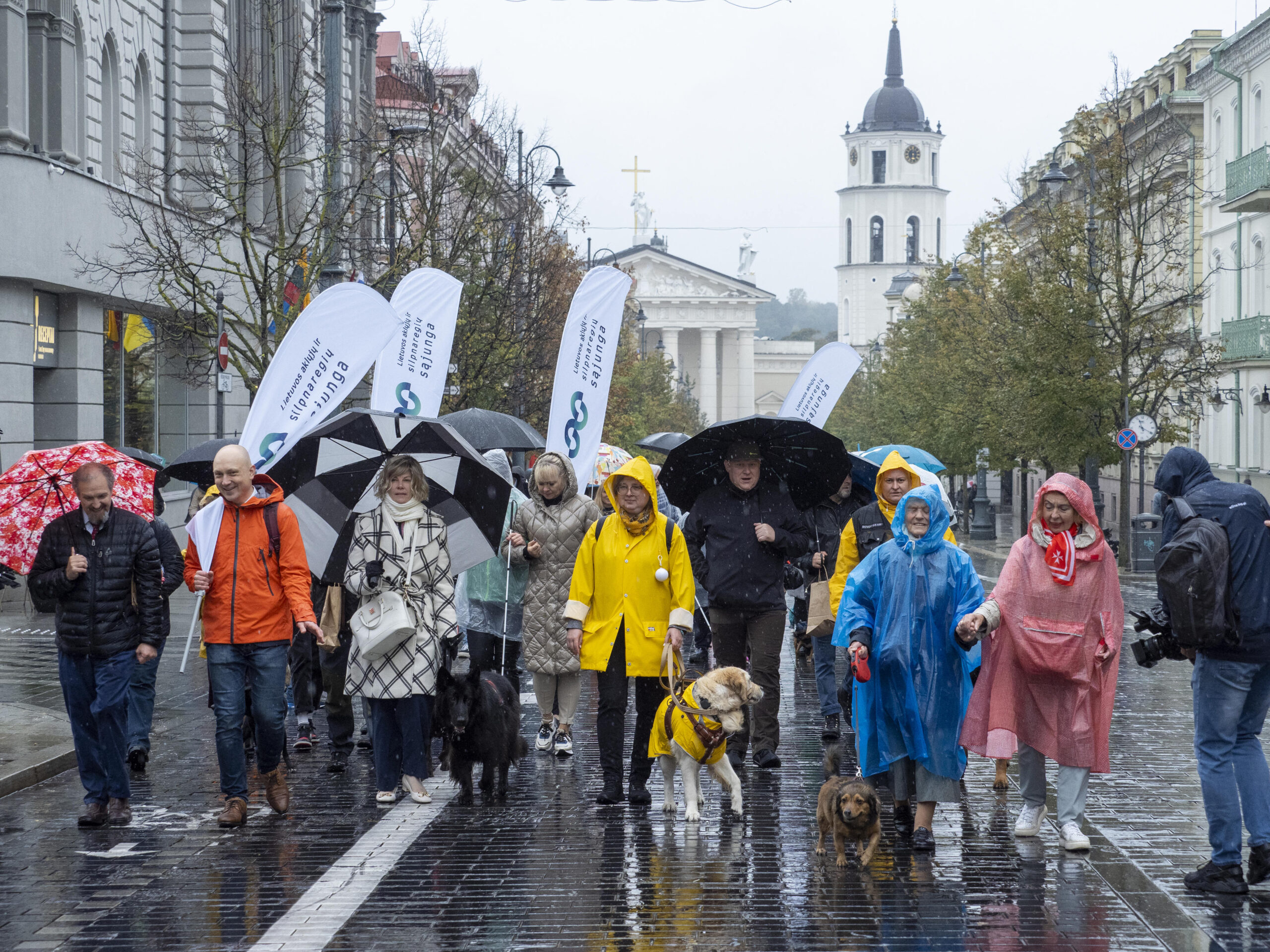 Esame baltas taškas Europoje. Neregiai prašo Vyriausybės finansavimo šunims vedliams